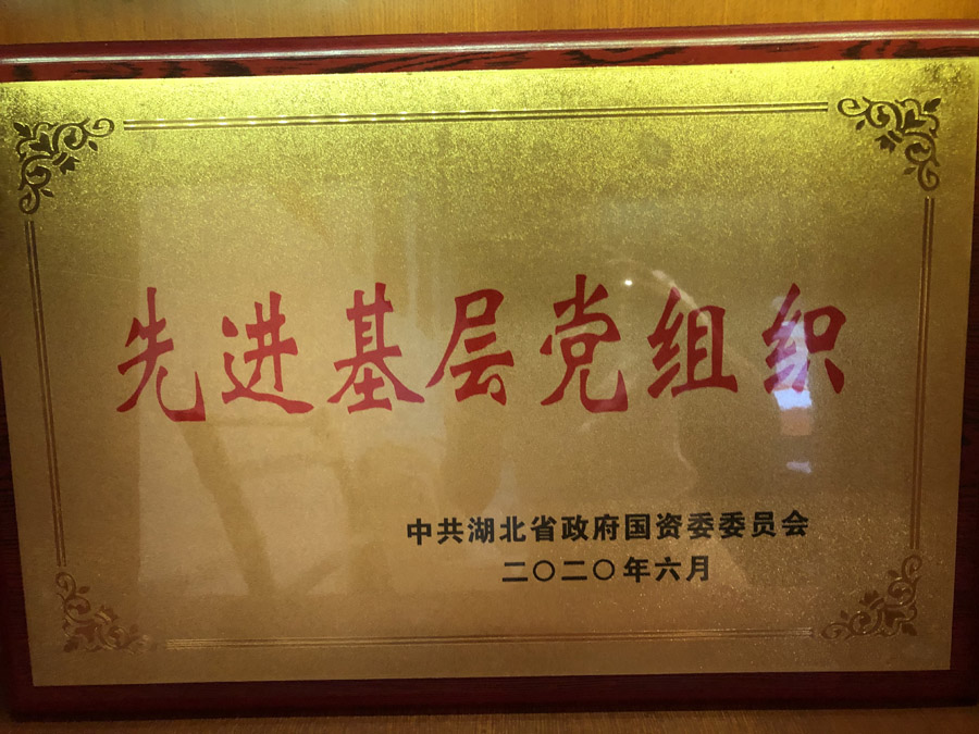 2020年6月，被省國資委評為“先進(jìn)基層黨組織”